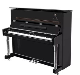 上海國際樂器2019 music china特色產品速遞 鋼琴 鍵盤篇