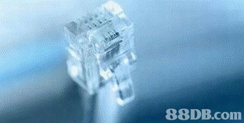 軟件生態系統的多樣化發展與應用